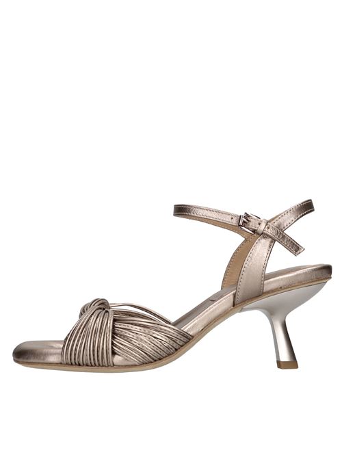  ASH | JANIS LUXORCHAMPAGNE